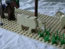 cow2.jpg