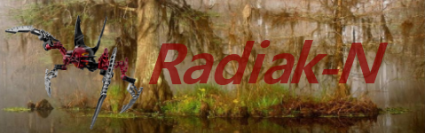radiak_s_banniere.png