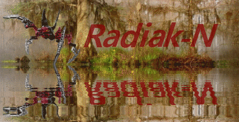 radiak_s_banniere_avec_reflet.gif