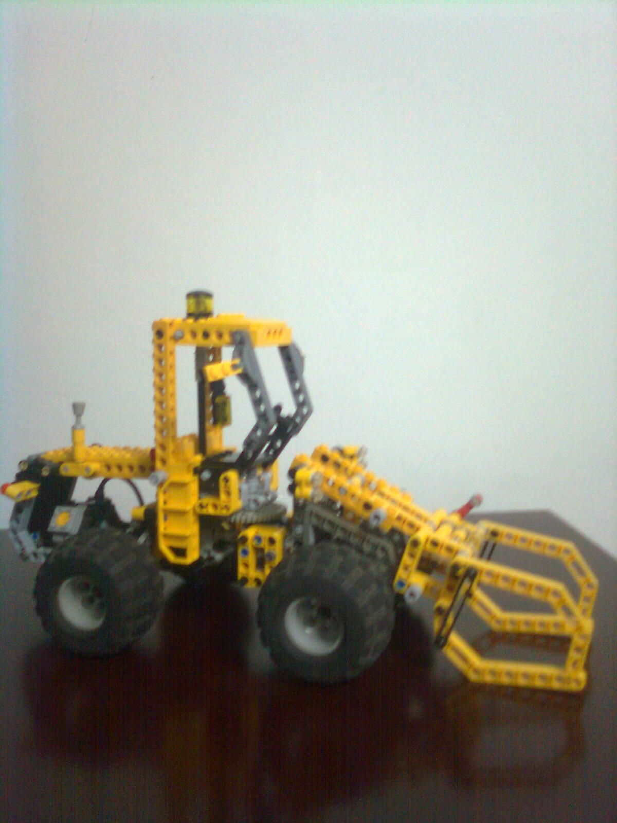 imagen0321.jpg
