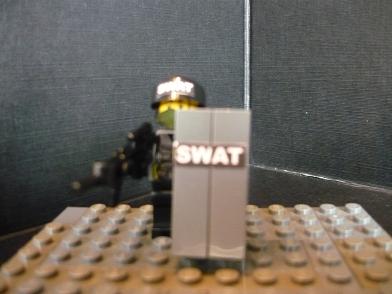 swat_1.2.jpg