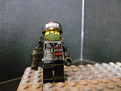 swat_1.jpg