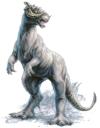 taun001.jpg
