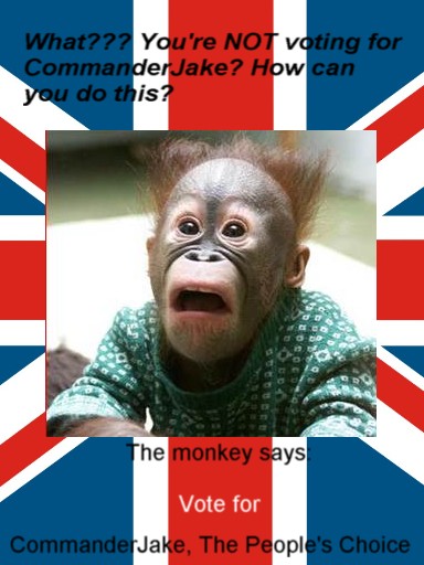 monkvote.jpg