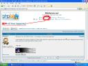 search....jpg