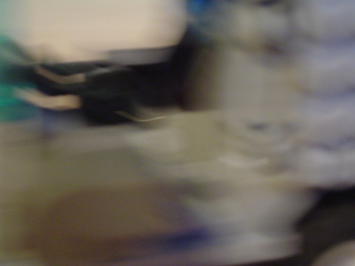 dsc03298.jpg