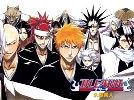 bleach36.jpg