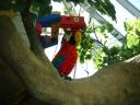 billund_2010_021.jpg