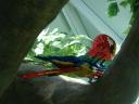 billund_2010_024.jpg