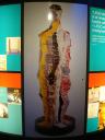 billund_2010_059.jpg
