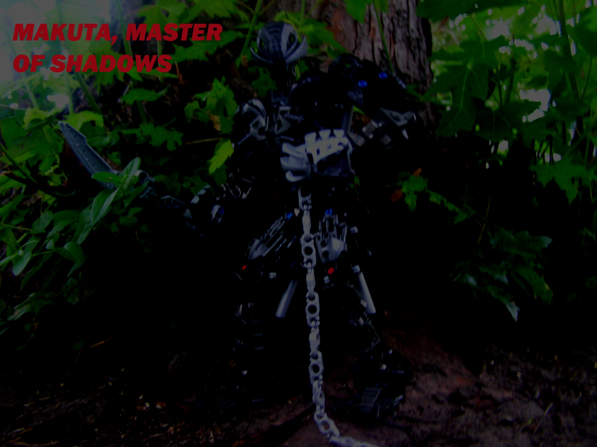 makuta.jpg