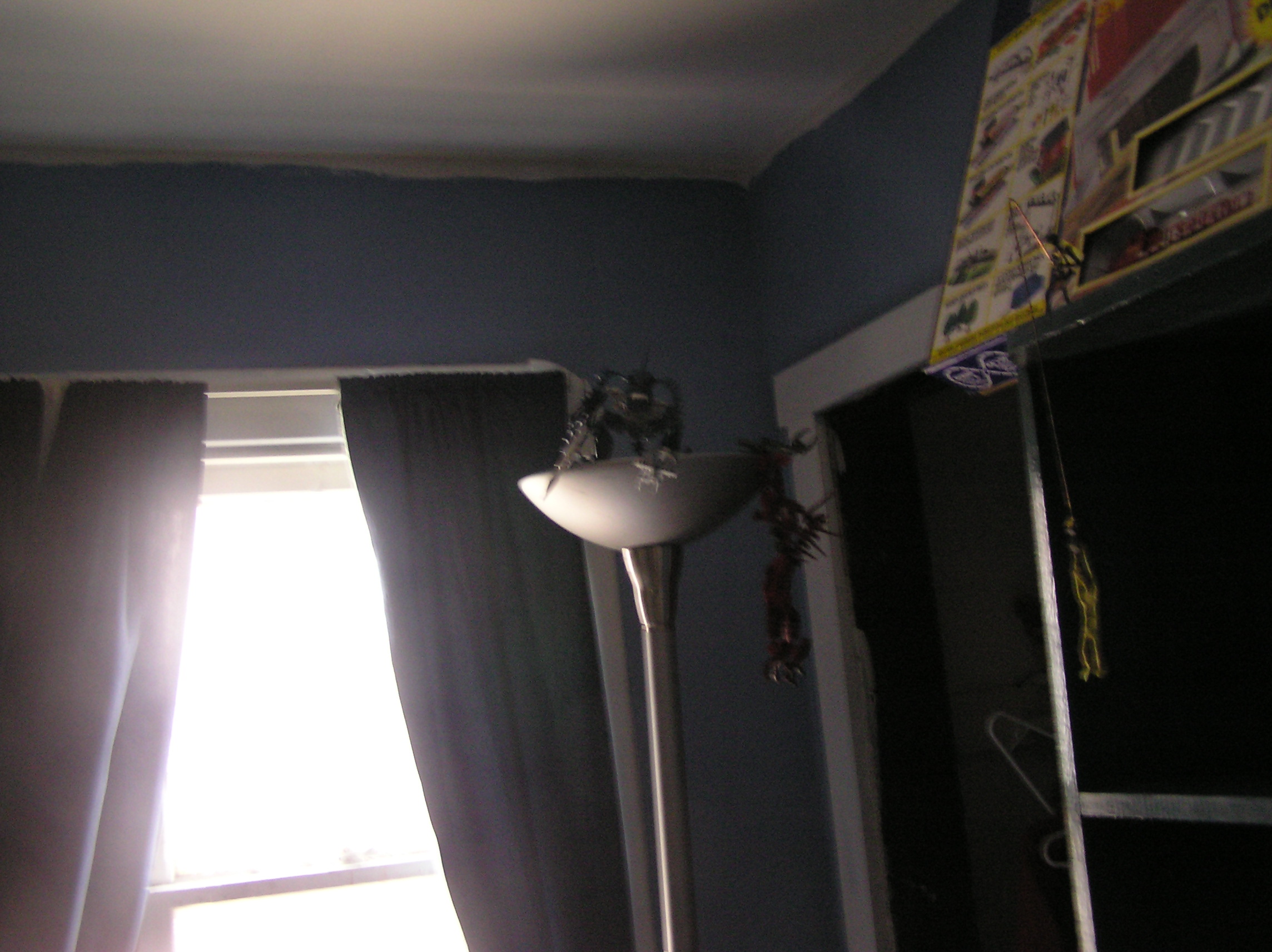 p1010011.jpg
