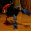 animation2.gif