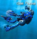 img320x336galinuva.jpg