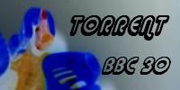 torrentbanner.jpg