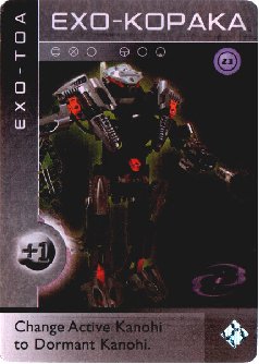 exokopaka.jpg