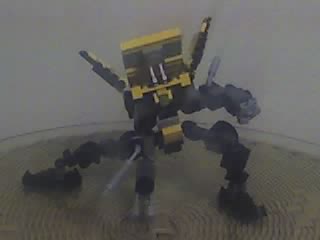 crank_action_pose.jpg