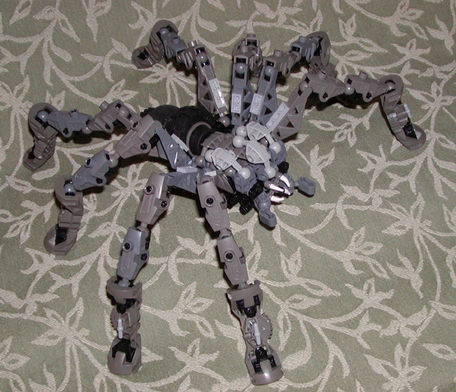 spider03.jpg