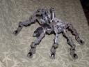 spider02.jpg