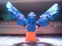 bird-back.jpg