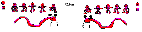 chtorr.gif