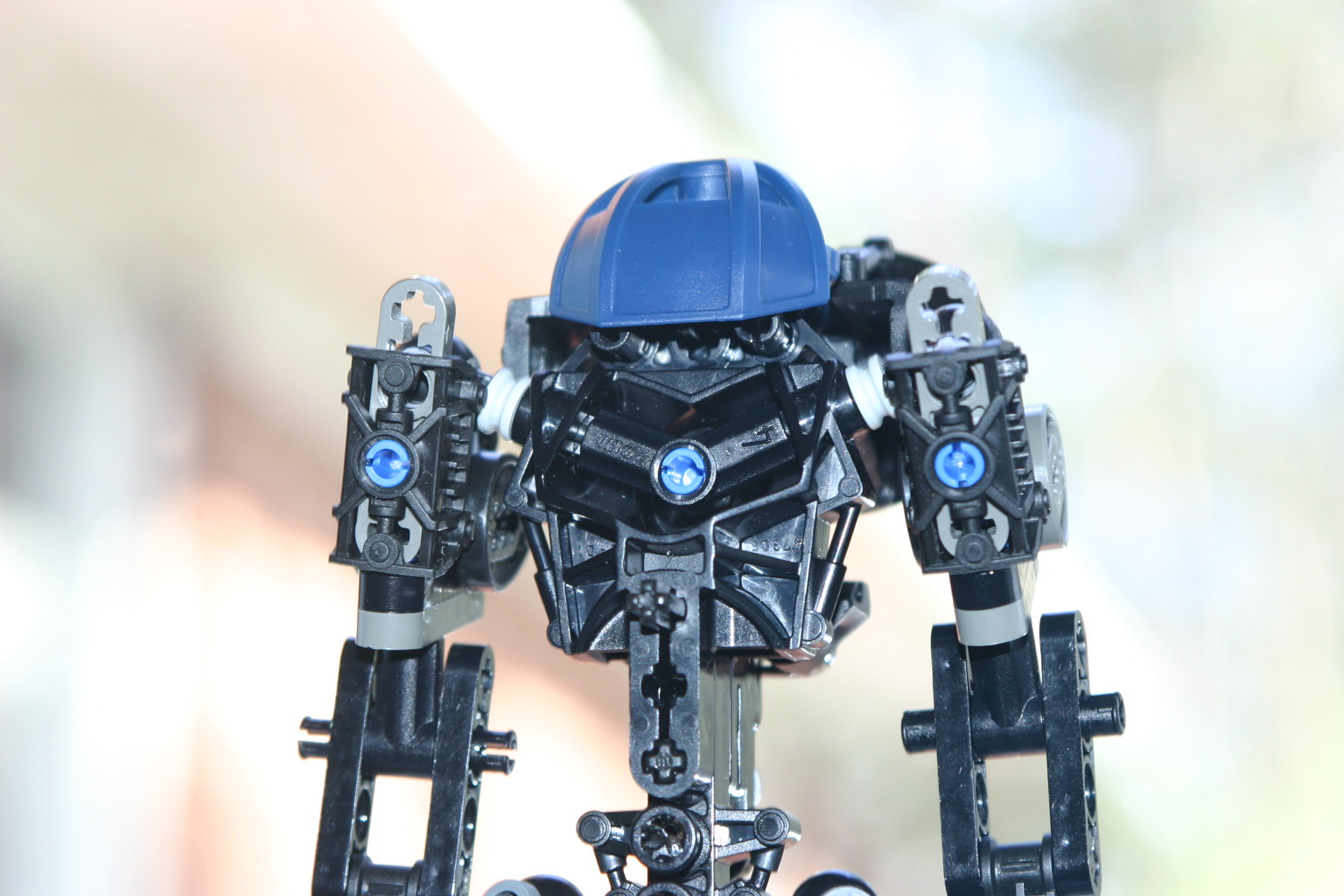 bionicle00009.jpg