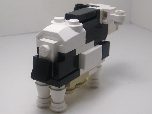 cow05.jpg