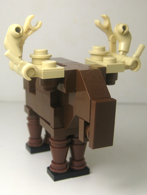 moose01.jpg