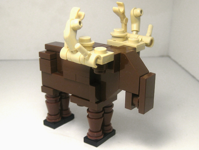 moose03.jpg