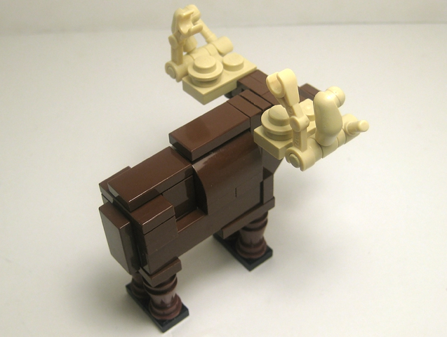 moose04.jpg