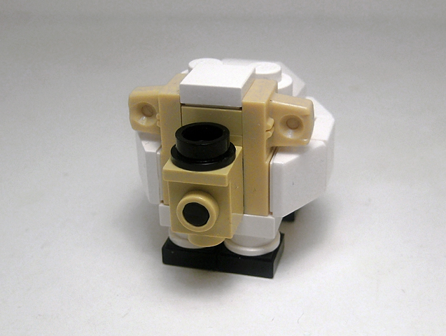 sheep01.jpg