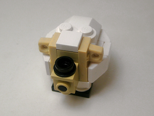 sheep02.jpg
