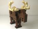 moose02.jpg