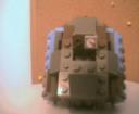 mite5.jpg