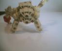 headcrab7.jpg