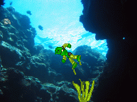 lewa_underwater.png