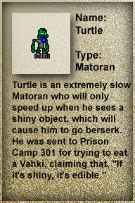 turtle.bmp
