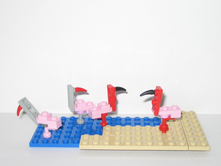 flamingo_2.jpg