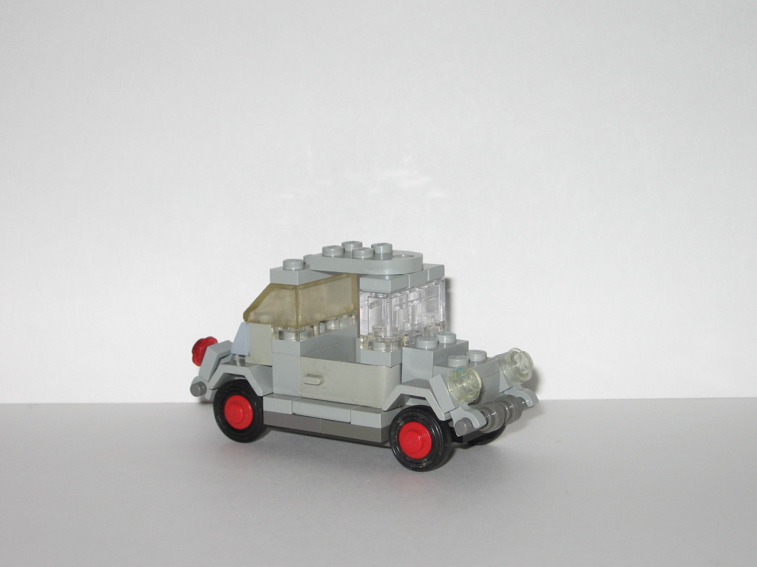 kaefer_grau_1.jpg