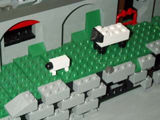 stadtmauer-schafwiese.jpg
