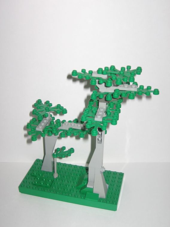 piece_8x16_198.jpg