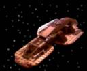 salamander-1.jpg