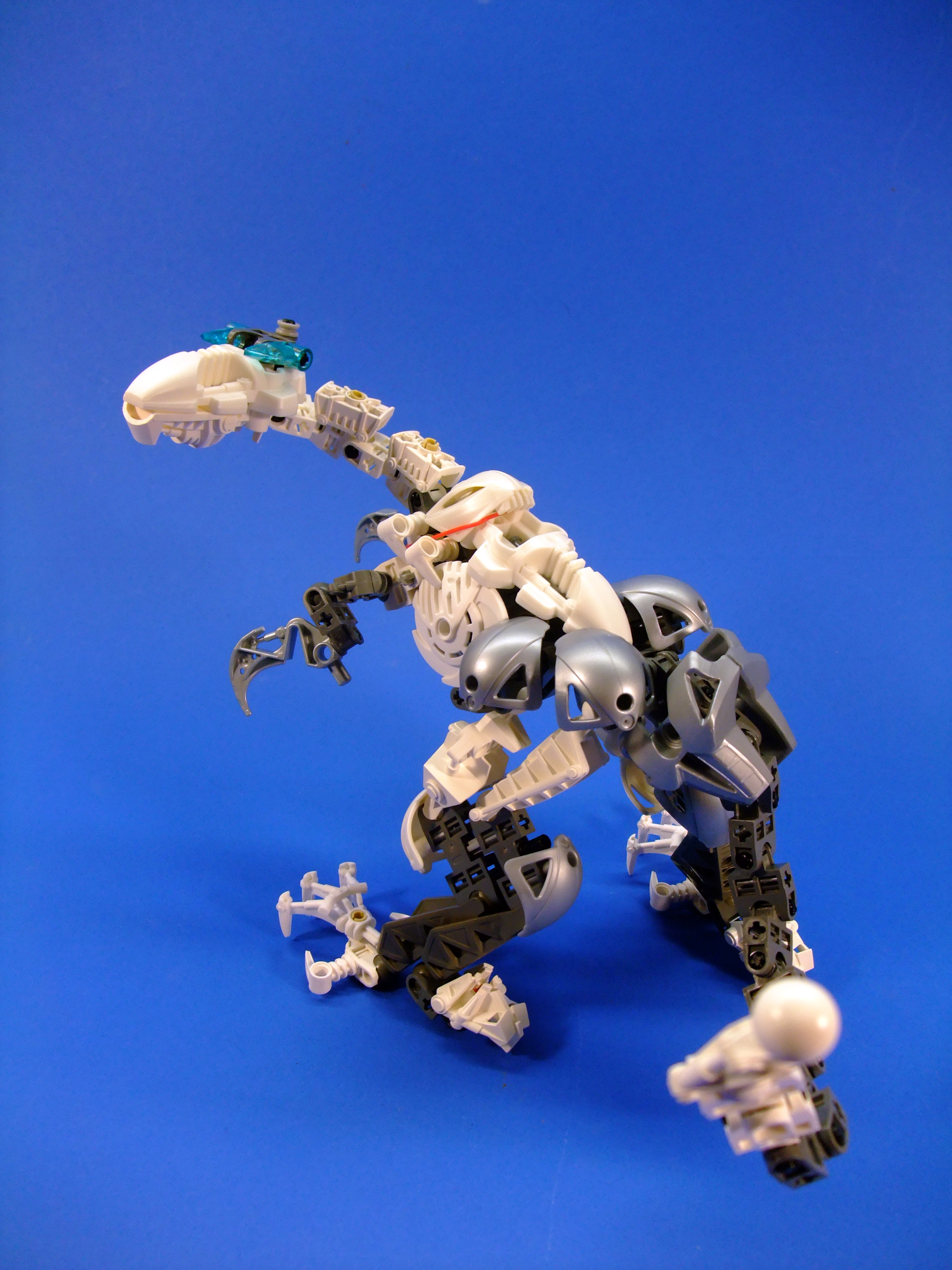 dt-f.jpg