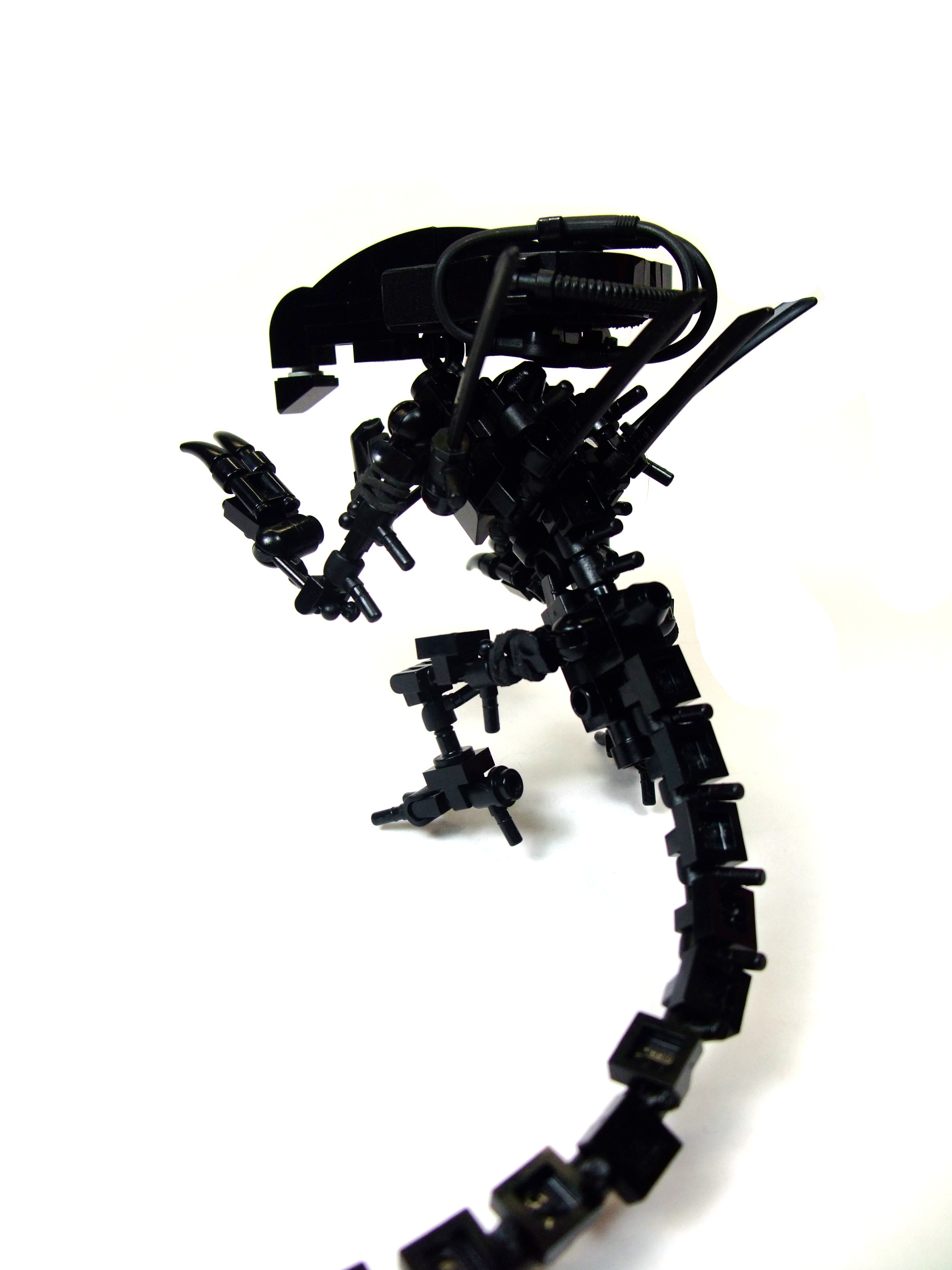 aq-b.jpg
