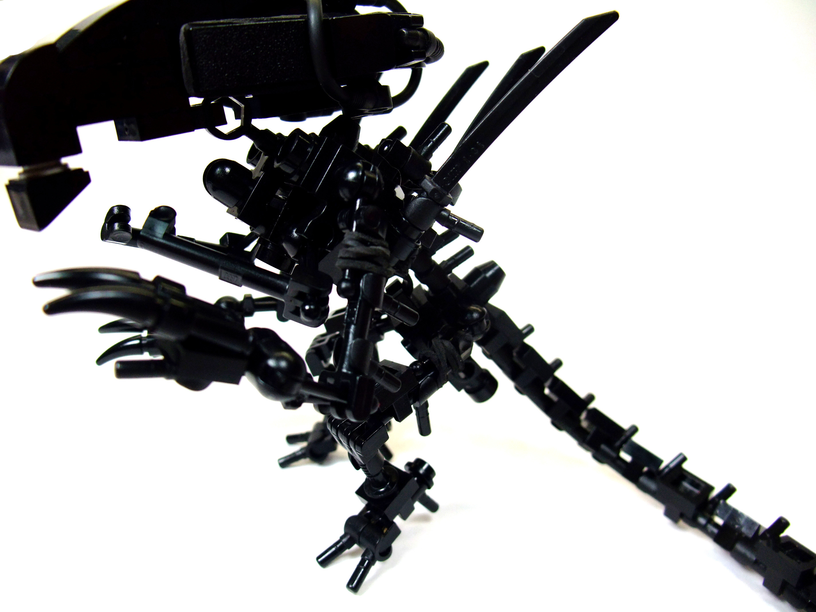 aq-c.jpg