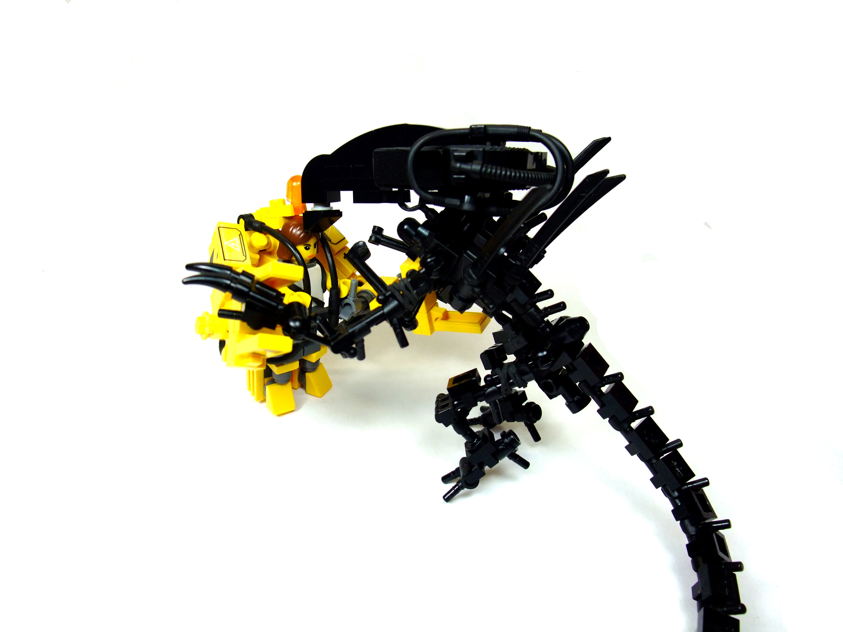 aq-l.jpg