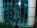 106-0636_img.jpg