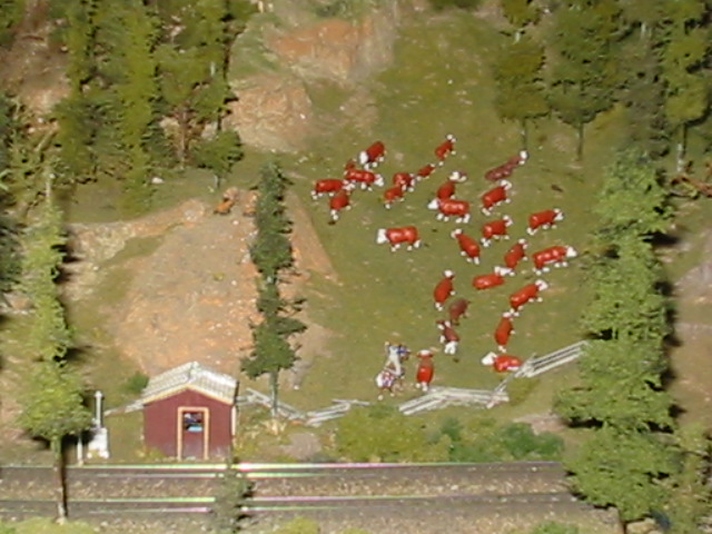 107-0710_img.jpg