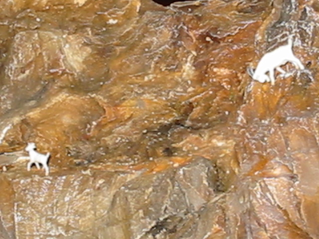 107-0729_img.jpg