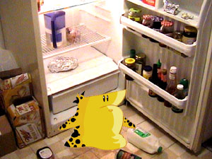 cheatfridge.jpg